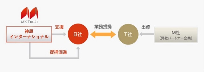 ストラクチャー概要図